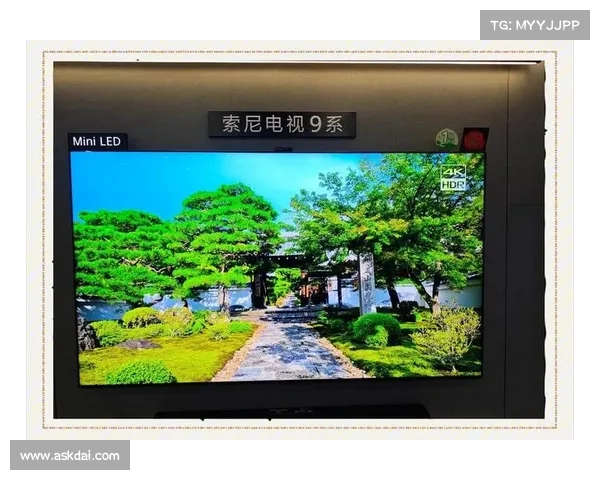 壹电视引领视听革命,创新节目内容打造全新观影体验 壹电视引领视听革命,创新节目内容打造全新观影体验